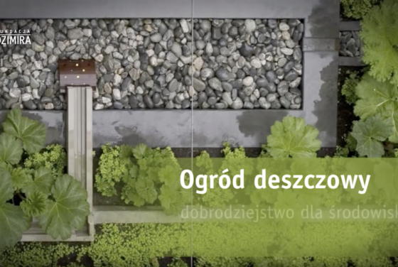 Ogród dezczowy. Plan z lotu ptaka.