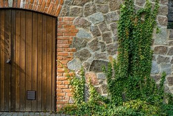 drewniane drzwi w ceglanej ścianie z pnączami