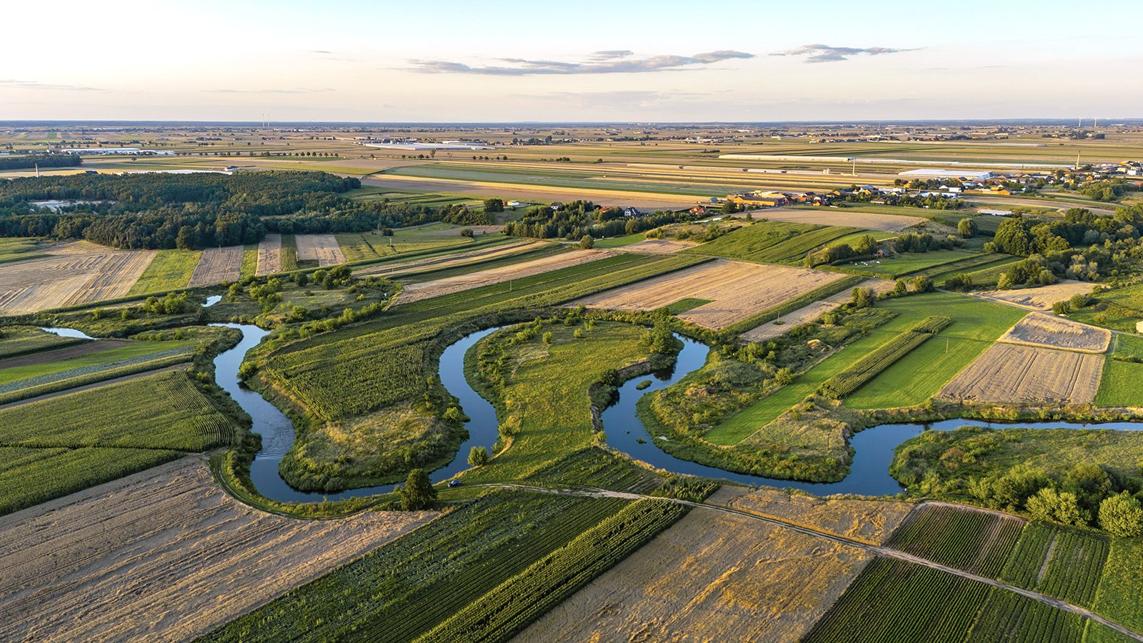 Konferencja inaugurująca projekt LIFE Riverease - online